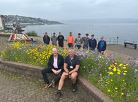 Wildflowers in Gourock